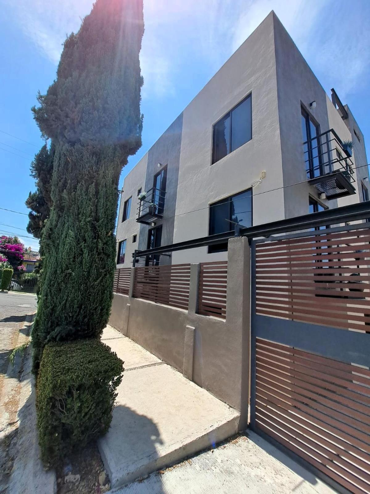 Casona 46 Luxury Studios México DF Exterior foto